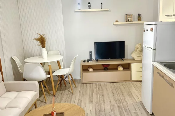 Apartament me qera 1+1 Brryl 