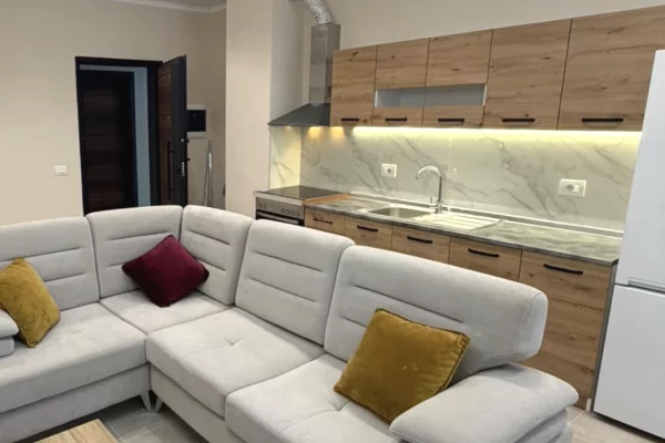 Apartament me qera 1+1 5 Maji 