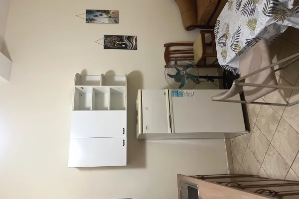 Shtepi me qera Apartament ne Tirane, 1+1, Mobilimi E mobiluar, Pagesa 35,000  Leke.