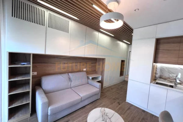 Shtepi me qera Apartament ne Tirane, Garsoniere, Mobilimi E mobiluar, Pagesa 370  Euro.
