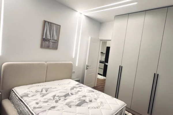 Shtepi ne shitje Apartament ne Tirane, 1+1, Mobilimi E mobiluar, Pagesa 1,250,050  Leke.