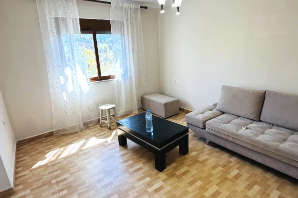 Shtepi ne shitje Apartament ne Tirane, 1+1, Mobilimi E mobiluar, Pagesa 11,500,050  Leke.