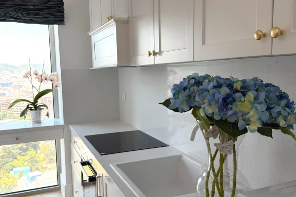 Shtepi me qera Apartament ne Tirane, 2+1, Mobilimi E mobiluar, Pagesa 3,501  Euro.