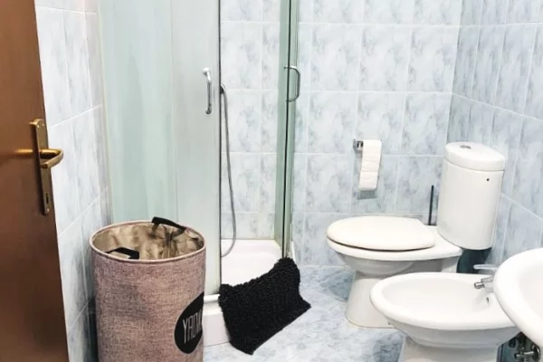 Shtepi me qera Apartament ne Tirane, 1+1, Mobilimi E mobiluar, Pagesa 67,007  Leke.