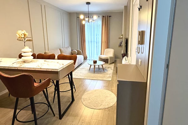 Shtepi me qera Apartament ne Tirane, 1+1, Mobilimi E mobiluar, Pagesa 49,000  Leke.
