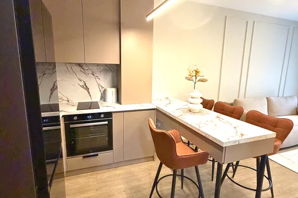 Shtepi me qera Apartament ne Tirane, 1+1, Mobilimi E mobiluar, Pagesa 49,000  Leke.