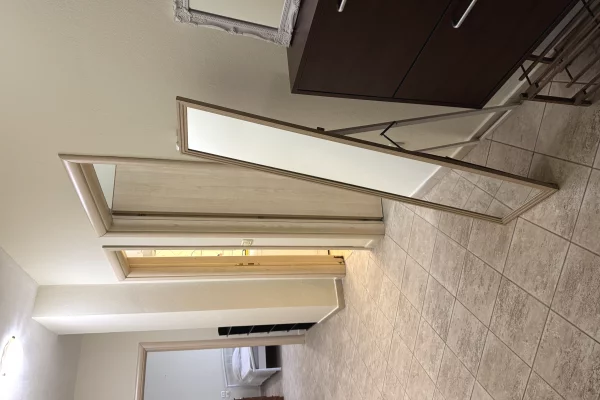 Shtepi me qera Apartament ne Tirane, 1+1, Mobilimi E mobiluar, Pagesa 50,000  Leke.
