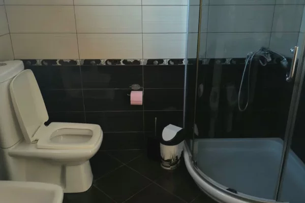 Shtepi me qera Apartament ne Tirane, 2+1, Mobilimi E mobiluar, Pagesa 50,000  Leke.