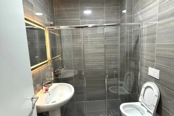 Shtepi me qera Apartament ne Tirane, 1+1, Mobilimi E mobiluar, Pagesa 55,000  Leke.