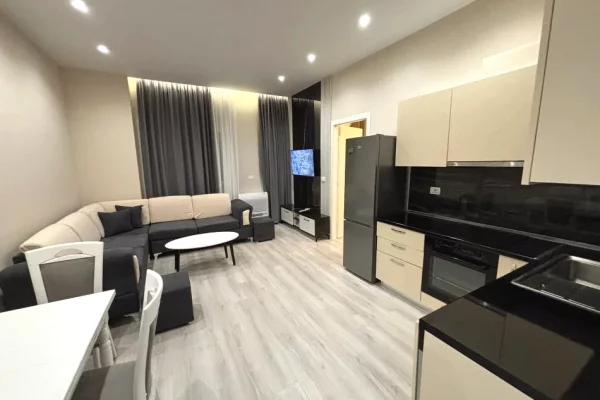 Shtepi me qera Apartament ne Tirane, 1+1, Mobilimi E mobiluar, Pagesa 55,000  Leke.
