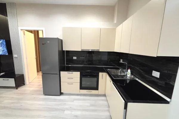 Shtepi me qera Apartament ne Tirane, 1+1, Mobilimi E mobiluar, Pagesa 55,000  Leke.