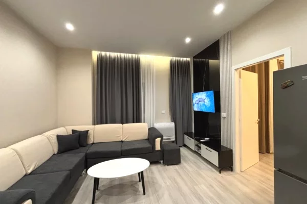 Shtepi me qera Apartament ne Tirane, 1+1, Mobilimi E mobiluar, Pagesa 55,000  Leke.
