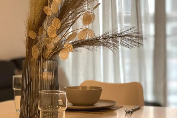 Shtepi me qera Apartament ne Tirane, 1+1, Mobilimi E mobiluar, Pagesa 700  Euro.