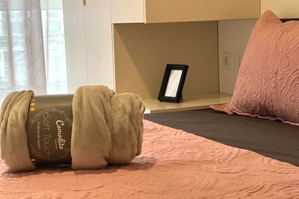 Shtepi me qera Apartament ne Tirane, 1+1, Mobilimi E mobiluar, Pagesa 700  Euro.