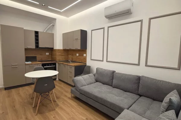 Shtepi me qera Apartament ne Tirane, 1+1, Mobilimi E mobiluar, Pagesa 44,000  Leke.