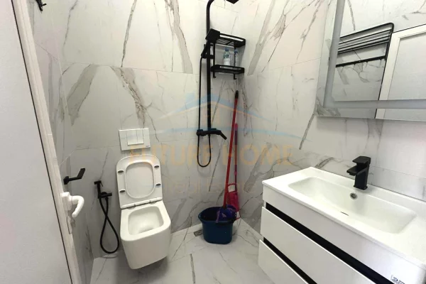 Shtepi me qera Apartament ne Tirane, Garsoniere, Mobilimi E mobiluar, Pagesa 250  Euro.