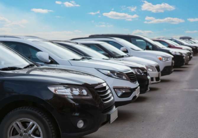 Biznese ne shitje ne Tirane - 220,000 Euro