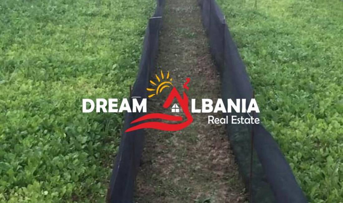 OKAZION Biznes ferme kermilli ne shitje ne afersi te Vile Bashtoves ne Kavaje (ID 4191048)