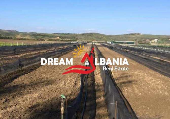 Business Property in Sale 6+1 in Kavaja - 28,000 Euro