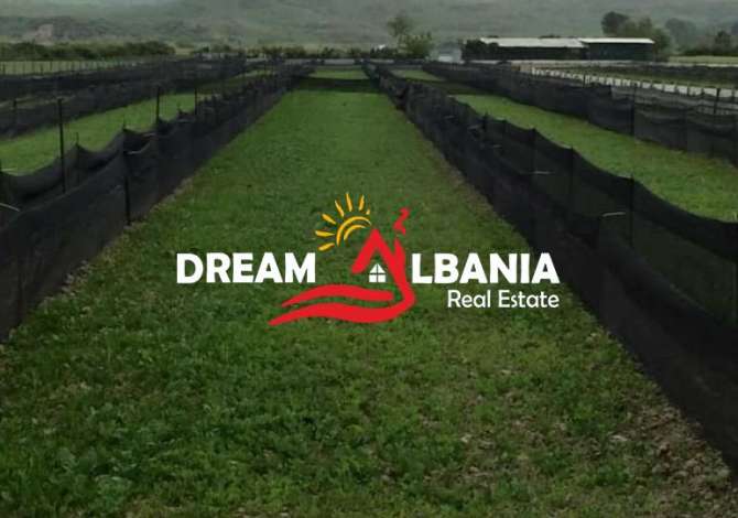 Business Property in Sale 6+1 in Kavaja - 28,000 Euro