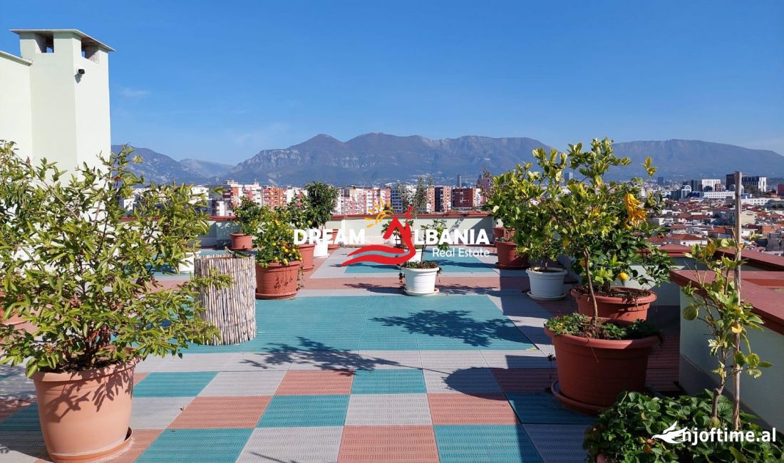 Ambjent per zyre me qera ne Rrugen Besim Alla, prane pallateve Cabej, ne Tirane (ID 42611274)