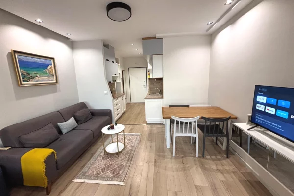 Shtepi me qera Apartament ne Tirane, Garsoniere, Mobilimi E mobiluar, Pagesa 450  Euro.