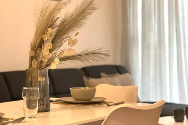 Shtepi me qera Apartament ne Tirane, 1+1, Mobilimi E mobiluar, Pagesa 700  Euro.