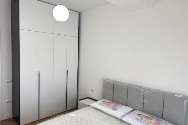 Shtepi me qera Apartament ne Tirane, 1+1, Mobilimi E mobiluar, Pagesa 550  Euro.