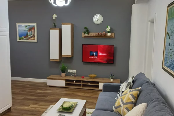 Shtepi me qera Apartament ne Tirane, 1+1, Mobilimi E mobiluar, Pagesa 650  Euro.