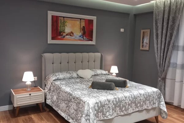 Shtepi me qera Apartament ne Tirane, 1+1, Mobilimi E mobiluar, Pagesa 650  Euro.