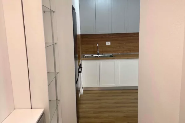 Shtepi me qera Apartament ne Tirane, 1+1, Mobilimi E mobiluar, Pagesa 400  Euro.