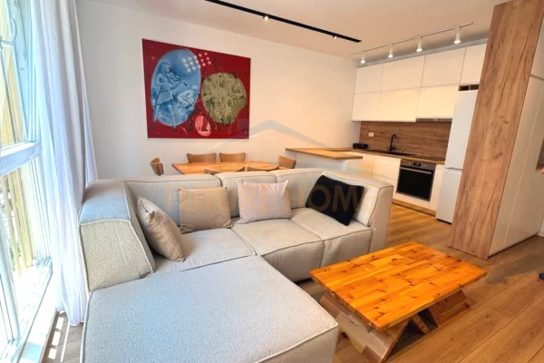 Shtepi me qera 1+1 ne Tirane - 650 Euro