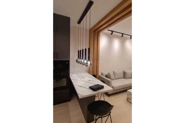 Shtepi ne shitje Apartament ne Tirane, 1+1, Mobilimi E mobiluar, Pagesa 171,300  Euro.
