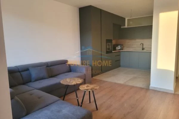 Shtepi me qera Apartament ne Tirane, 2+1, Mobilimi E mobiluar, Pagesa 550  Euro.