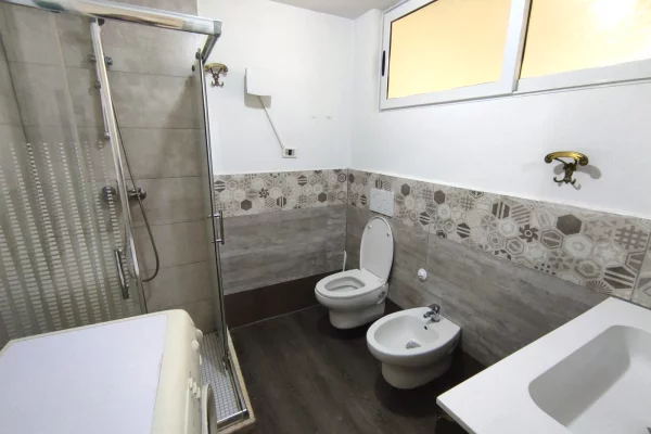 Shtepi me qera Apartament ne Tirane, 1+1, Mobilimi E mobiluar, Pagesa 300  Euro.