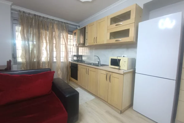 Shtepi ne shitje Apartament ne Tirane, 1+1, Mobilimi E mobiluar, Pagesa 114,000  Euro.