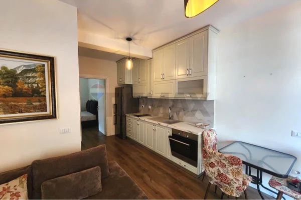 House for Rent 1+1 in Tirana - 600 Euro