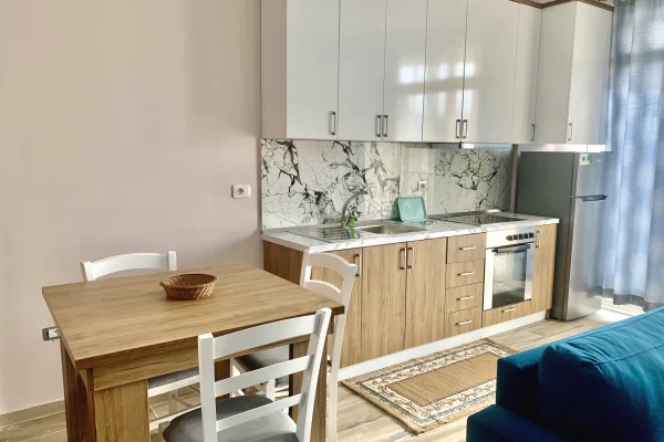 Shtepi me qera Apartament ne Elbasan, 2+1, Mobilimi E mobiluar, Pagesa 380  Euro.