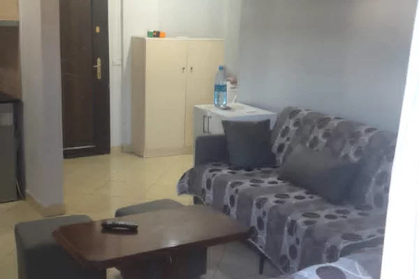 Shtepi me qera Apartament ne Tirane, 1+1, Mobilimi E mobiluar, Pagesa 380  Euro.