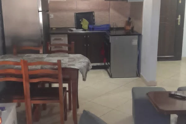 Shtepi me qera Apartament ne Tirane, 1+1, Mobilimi E mobiluar, Pagesa 380  Euro.