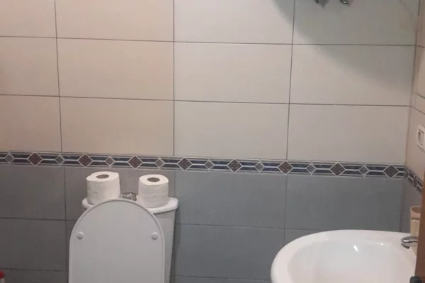 Shtepi me qera Apartament ne Tirane, 1+1, Mobilimi E mobiluar, Pagesa 380  Euro.
