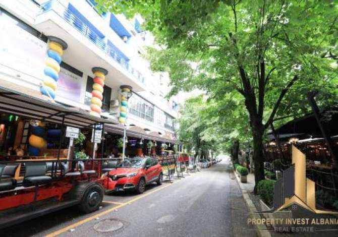 Ambient biznesi me qera 2+1 ne Tirane - 10,000 Euro