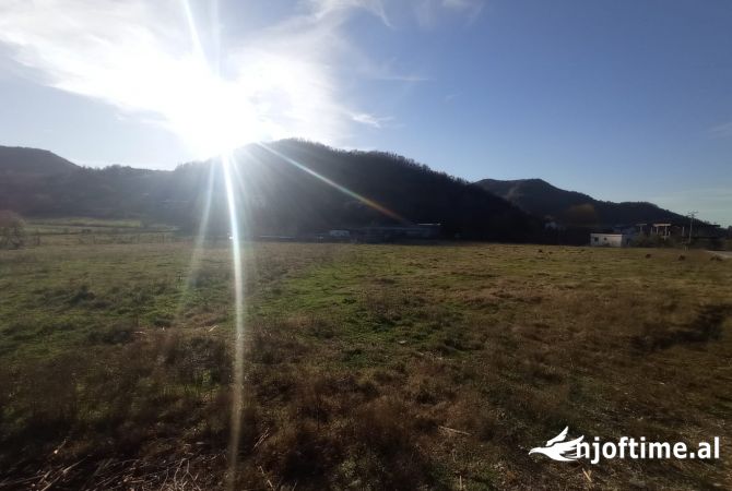 oke ne shitje ne fshatin Vishaj, me sipërfaqe 5000 m².