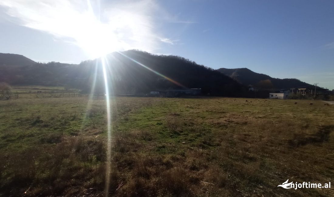 oke ne shitje ne fshatin Vishaj, me siperfaqe 5000 m2.