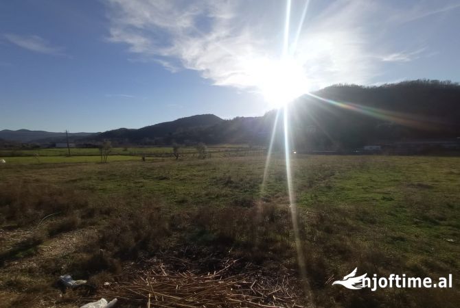 Shitet toke,fshati Vishaj