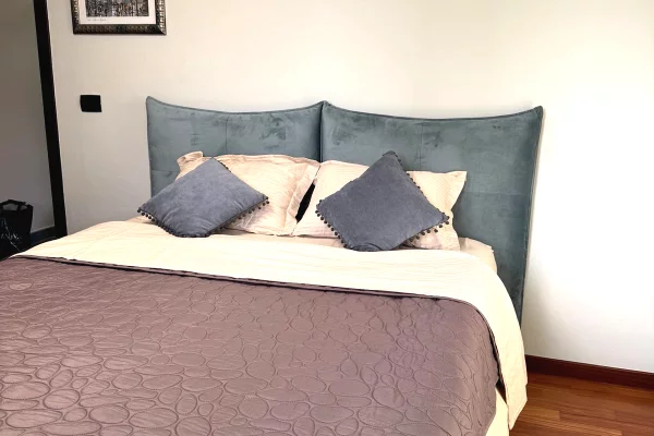 Shtepi me qera Apartament ne Tirane, 2+1, Mobilimi E mobiluar, Pagesa 1,500  Euro.