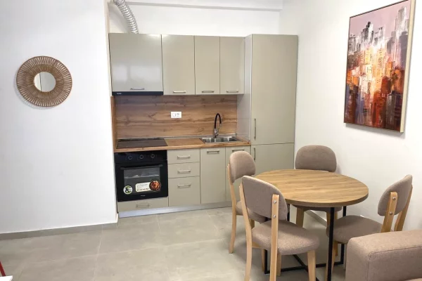 Shtepi me qera Apartament ne Tirane, 1+1, Mobilimi E mobiluar, Pagesa 450  Euro.