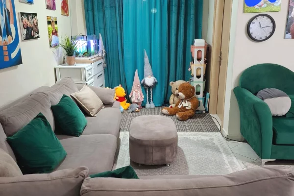 Shtepi me qera Apartament ne Tirane, 2+1, Mobilimi E mobiluar, Pagesa 10,000,000  Leke.