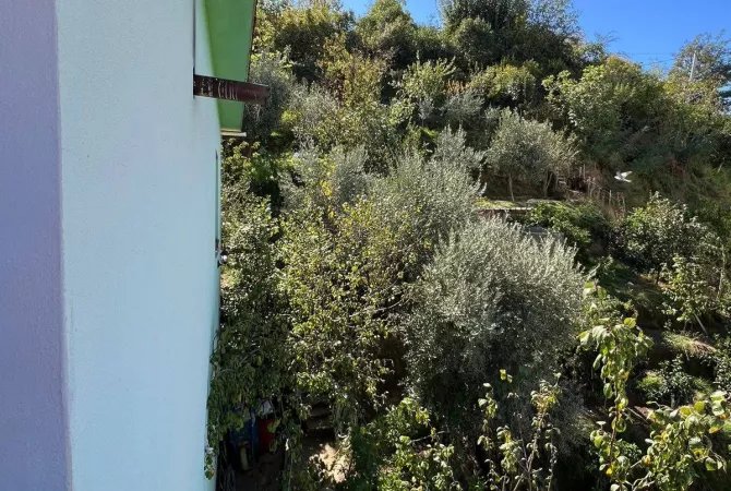 Shtepi ne shitje Vila Luksoze ne Tirane, 2+1, Mobilimi E mobiluar, Pagesa 260,000  Euro.