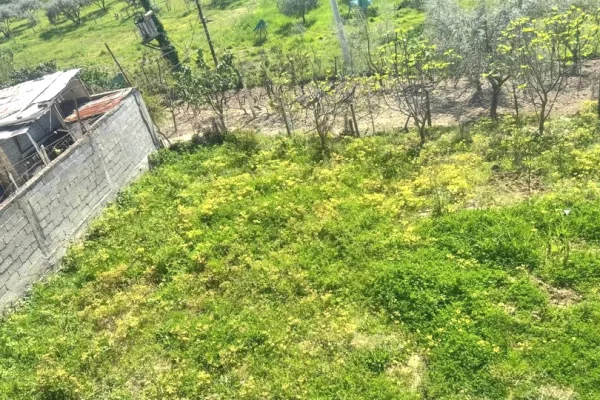 Shtepi ne shitje Shtepi Private ne Tirane, 3+1, Mobilimi Bosh, pa mobiluar, Pagesa 16,000,000  Leke.